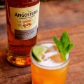 RUM ANGOSTURA 5YO 0,7L