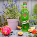 AGWA DE BOLIVIA COCA LEAF LIKIER 0,7L