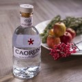 CAORUNN SMALL BATCH SCOTTISH GIN 0,7L