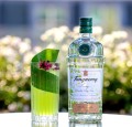 TANQUERAY LOVAGE GIN 1L