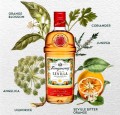 TANQUERAY FLOR DE SEVILLA GIN 1L