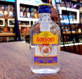 GORDON'S GIN 0,05L