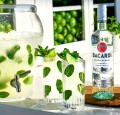 RUM BACARDI CARTA BLANCA 0,7L