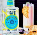 MALFY G.Q.D.I. GIN CON LIMONE 0,7L