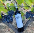 WINO THE CHOCOLATE BLOCK 0,75L