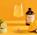 MIX ME MANGO PUNCH 0% 0,5L