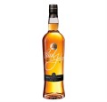 PAUL JOHN BOLD WHISKY 0,7L + TUBA