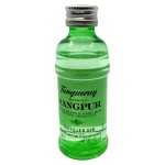 GIN TANQUERAY RANGPUR 0,05L