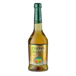 CHOYA ORIGINAL GREEN 0,5L WINO ŚLIWKOWE