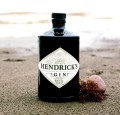 HENDRICK'S GIN 0,7L