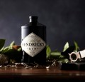 HENDRICK'S GIN 0,7L