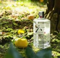 ROKU GIN SUNTORY 0,7L
