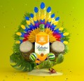 BALLANTINE'S BRASIL 0,7L