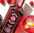 BOMBAY BRAMBLE BLACKBERRY &amp; RASPBERRY GIN 0,7L
