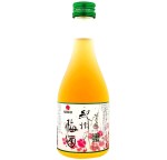 NAKATA UMESHU - SHIRO 0,3L