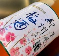 NAKATA UMESHU - SHIRO 0,72L