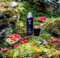 TATRATEA FOREST FRUIT LIKIER 62% 0,7L