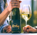 WINO MISTY COVE LANDMARK RIESLING 0,75L
