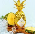 PINAQ GOLD LIQUEUR LIKIER 0,05L