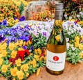 WINO IRONSTONE CHARDONNAY USA 0,75L