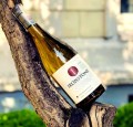WINO IRONSTONE CHARDONNAY USA 0,75L
