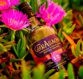 THE GLENALLACHIE 12YO SINGLE MALT WHISKY 0,7L + OPAKOWANIE