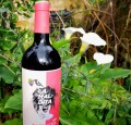 WINO LA MALDITA GARNACHA TINTO RIOJA 0,75L