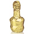 RUM DICTADOR RICHARD ORLINSKI 5 DECADES GOLD MODEL
