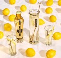 ST-GERMAIN ELDERFLOWER LIKIER 0,7L