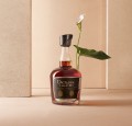 DICTADOR - DEGUSTACJA RUMU WARSZAWA