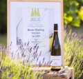 WINO MOSELLAND GOLDSCHILD SAAR RIESLING TROCKEN 0,75L