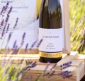 WINO MOSELLAND GOLDSCHILD SAAR RIESLING TROCKEN 0,75L