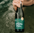 WINO MISTY COVE ORGANIC SAUVIGNON BLANC 0,75L