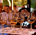 DEGUSTACJA RUMÓW WARSZAWA