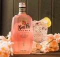 KWAI FEH LYCHEE LIKIER 0,7L