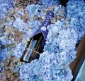 SZAMPAN MOET&amp;CHANDON BRUT IMPERIAL PHARRELL WILLIAMS 12,5% 0,75L + KARTONIK