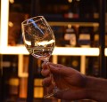 DEGUSTACJA WIN WŁOSKICH MEZZACORONA