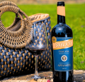 WINO WŁOSKIE SOLCO TOSCANA APPASSITE PICCINI CZERWONE PÓŁWYTRAWNE 0,75L TOSKAŃSKA PASJA W BUTELCE