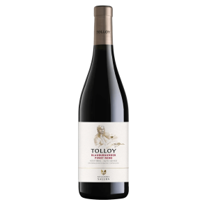 WINO WŁOSKIE TOLLOY PINOT NERO ALTO ADIGE CZERWONE WYTRAWNE 0,75L KLASYKA Z PÓŁNOCY WŁOCH