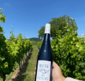 BLUE_FISH_DRY_RIESLING_1115 (2).png