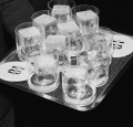 BELVEDERE ORGANIC VODKA 1,75L PODŚWIETLANA BUTELKA