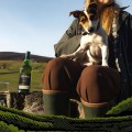 ARDBEG 10YO SINGLE MALT WHISKY 0,7L + KARTONIK
