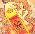 MEZCAL MONTE ALBAN 0,7L