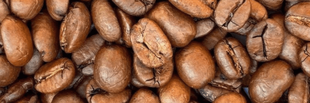 Kawa, z której powstał likier Patron XO Cafe