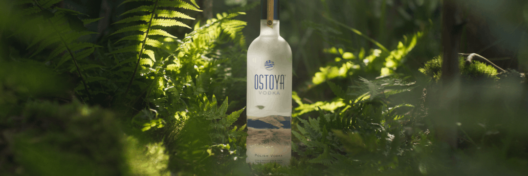 Ostoya Vodka w polskiej puszczy