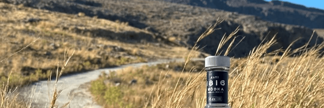 Droga pośród polskich pól pszenicznych