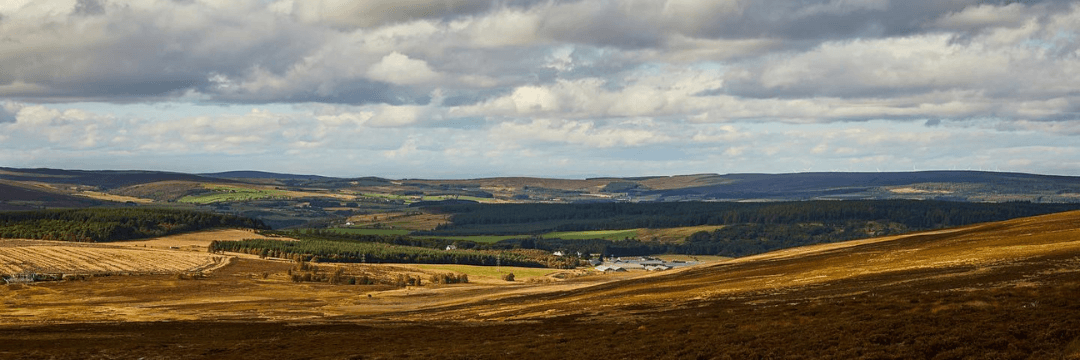Pola Speyside