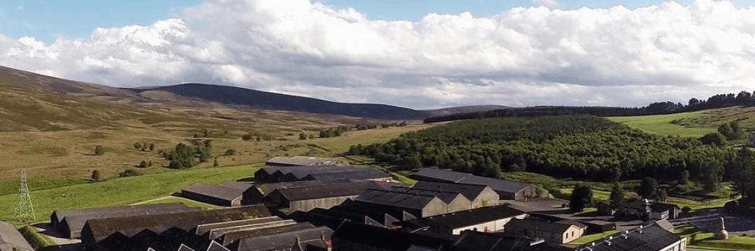 DESTYLARNIA GLENFARCLAS SPEYSIDE