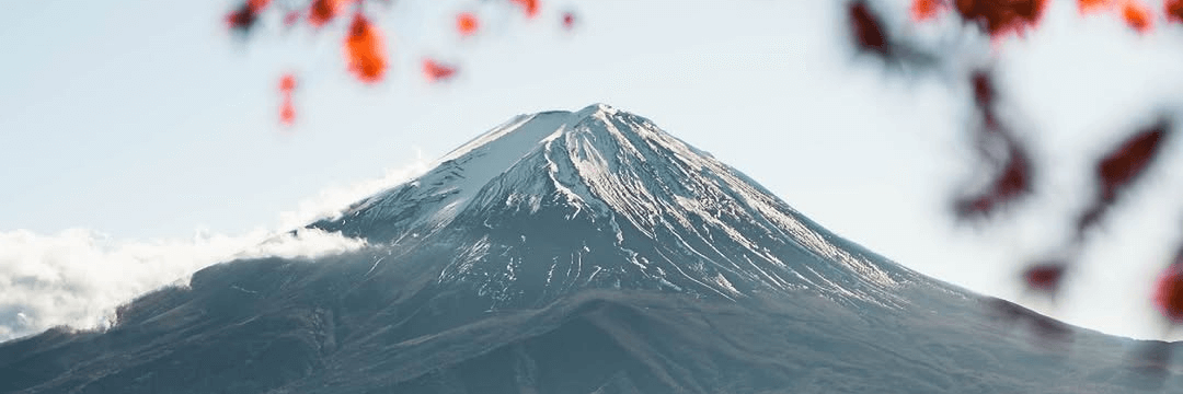 Destylarnia Fuji