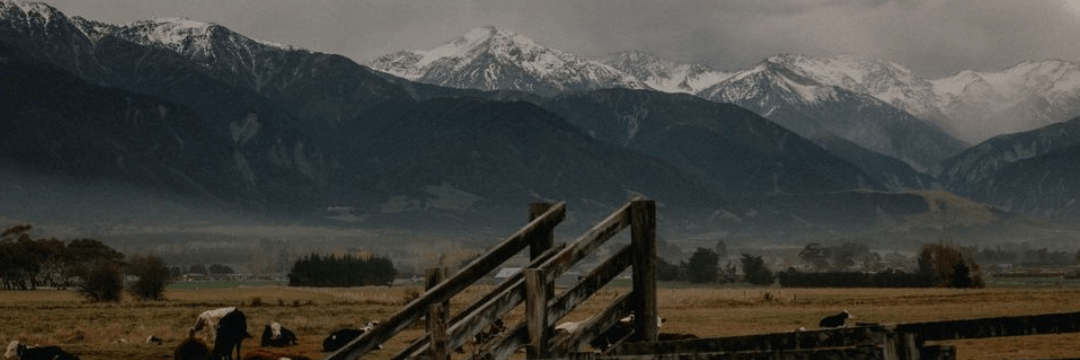 Nowozelandzki Plener